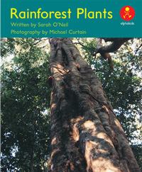 Rainforest Plants