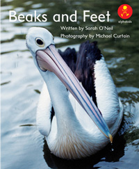 Beaks and Feet